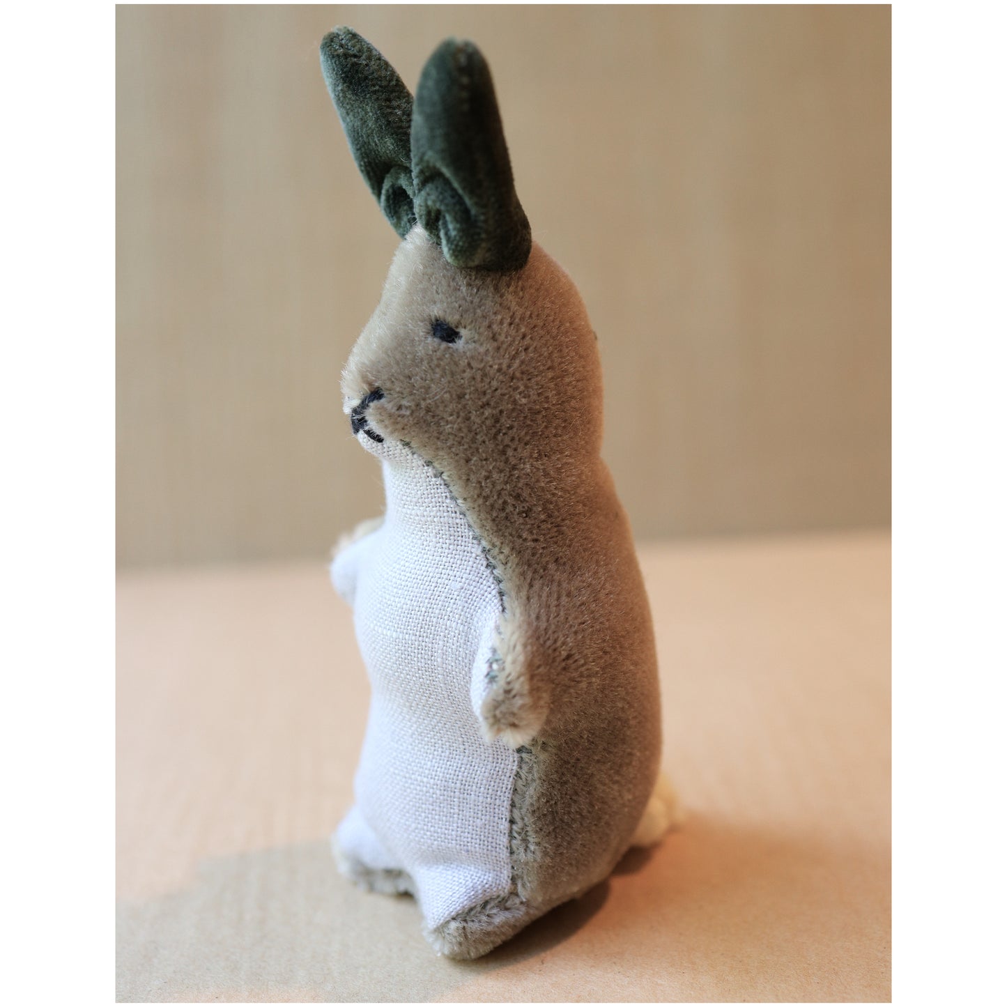 Kit Cottontail