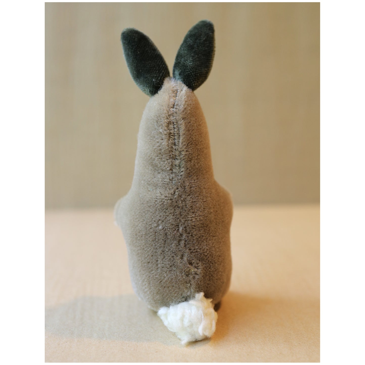 Kit Cottontail