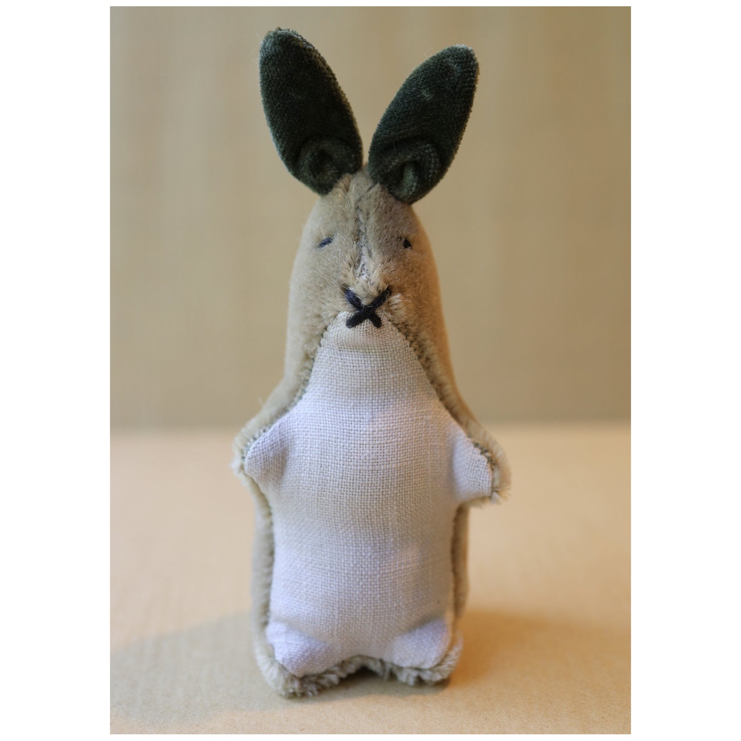 Kit Cottontail
