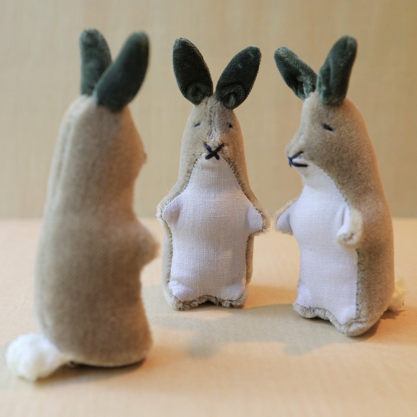 Kit Cottontail