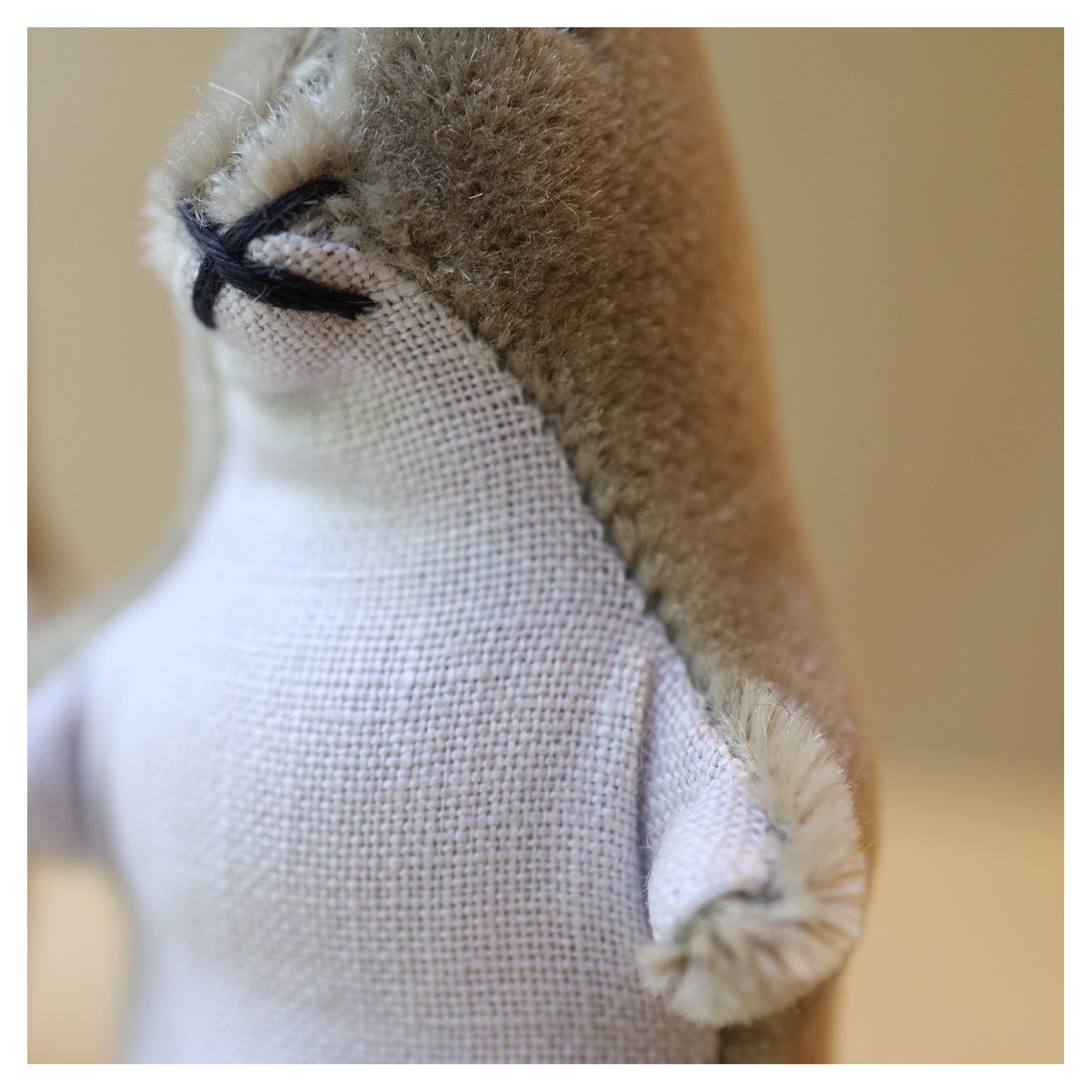 Kit Cottontail