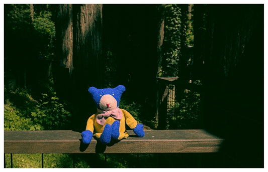 berry the floppy teddy in blue wool and yellow linen sitting on a fence under the california redwood trees