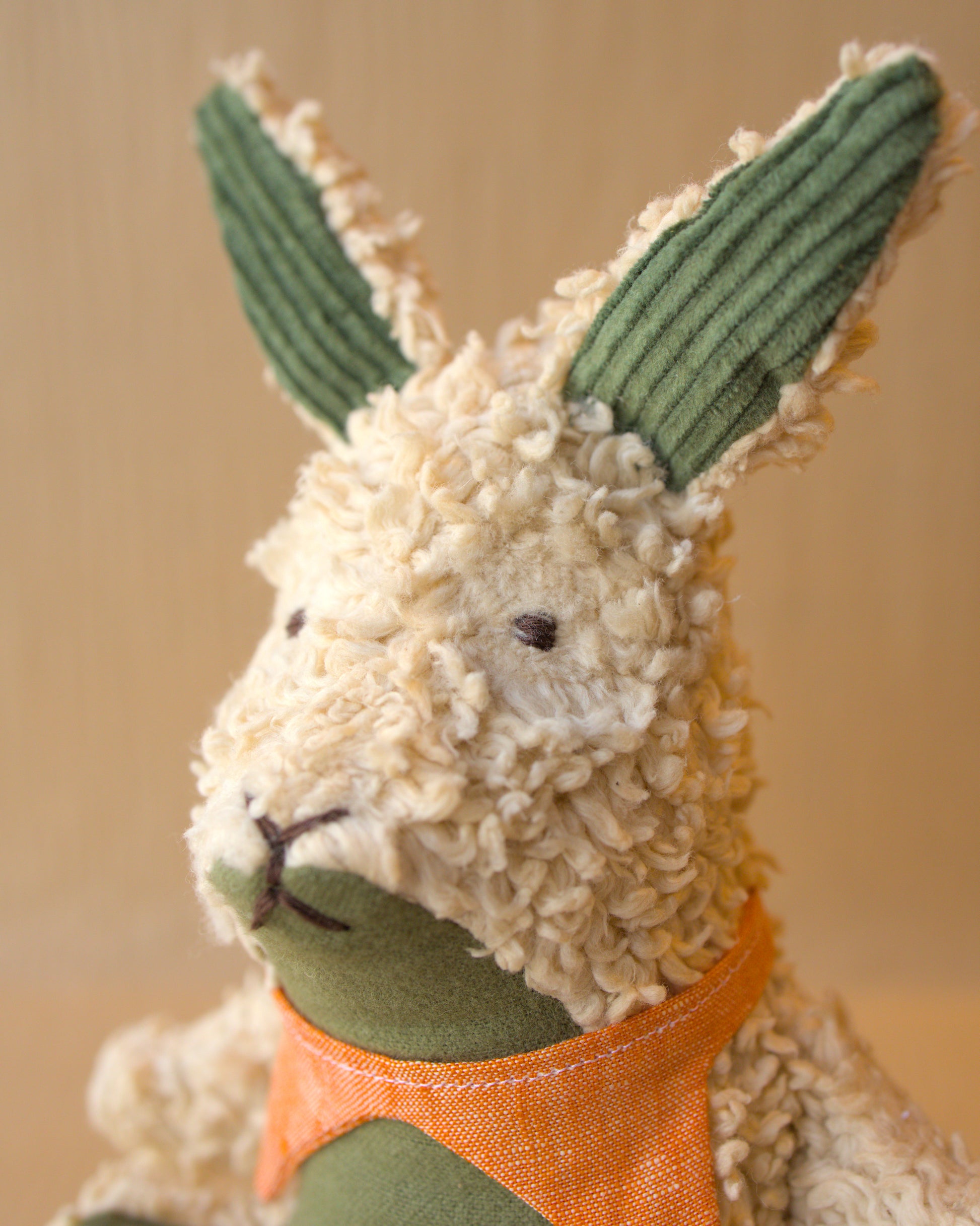 portrait of aster cottontail in green and light brown tea dued fabric with a linen pointy collar