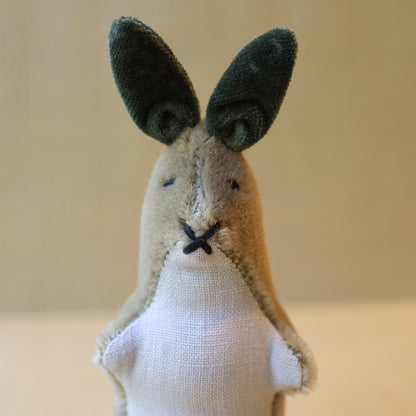Kit Cottontail