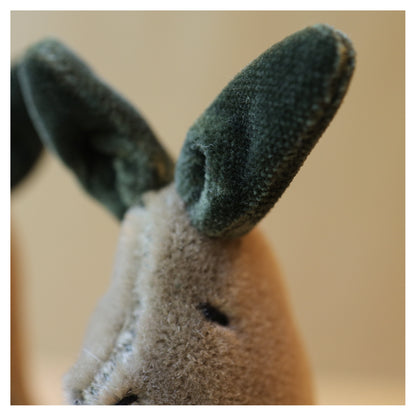 Kit Cottontail