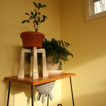 The Plant's Pedestal