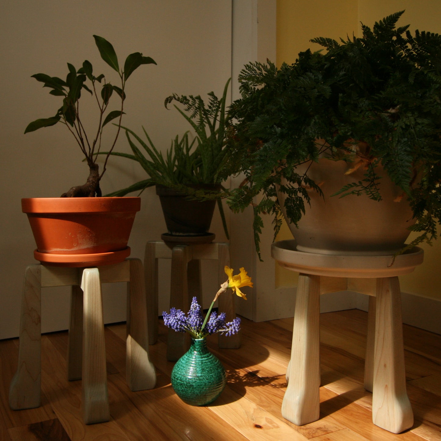 The Plant's Pedestal