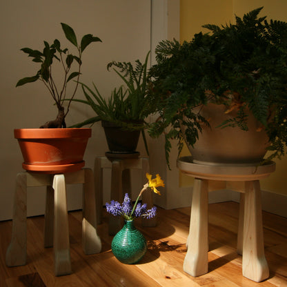 The Plant's Pedestal