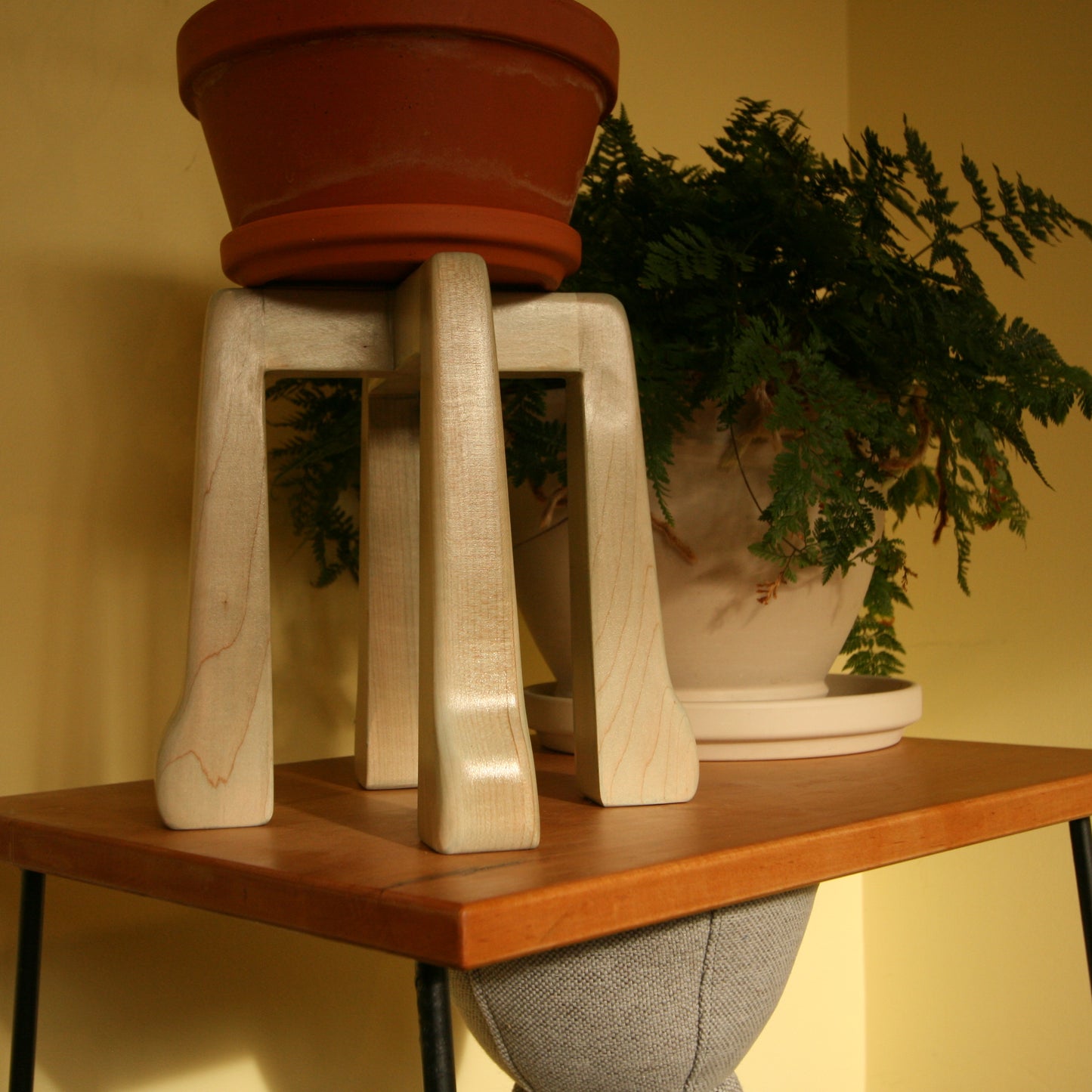 The Plant's Pedestal